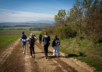 Turisti